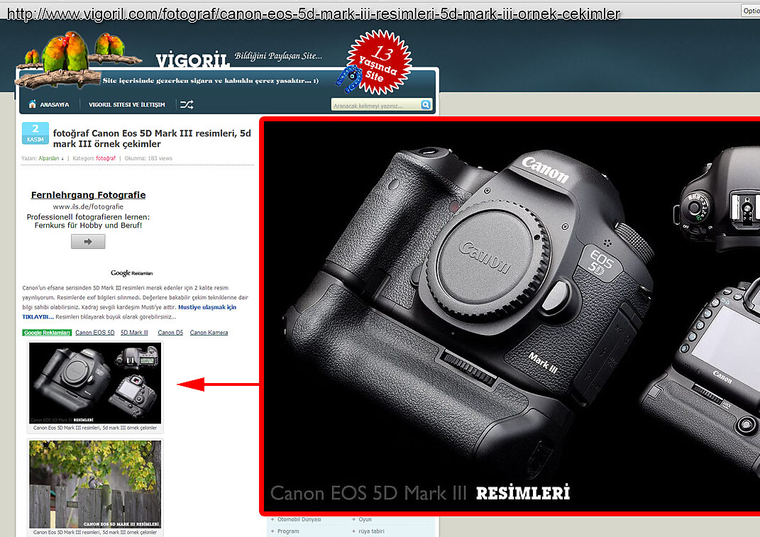 Vigorilcom,xlarge.1505888235