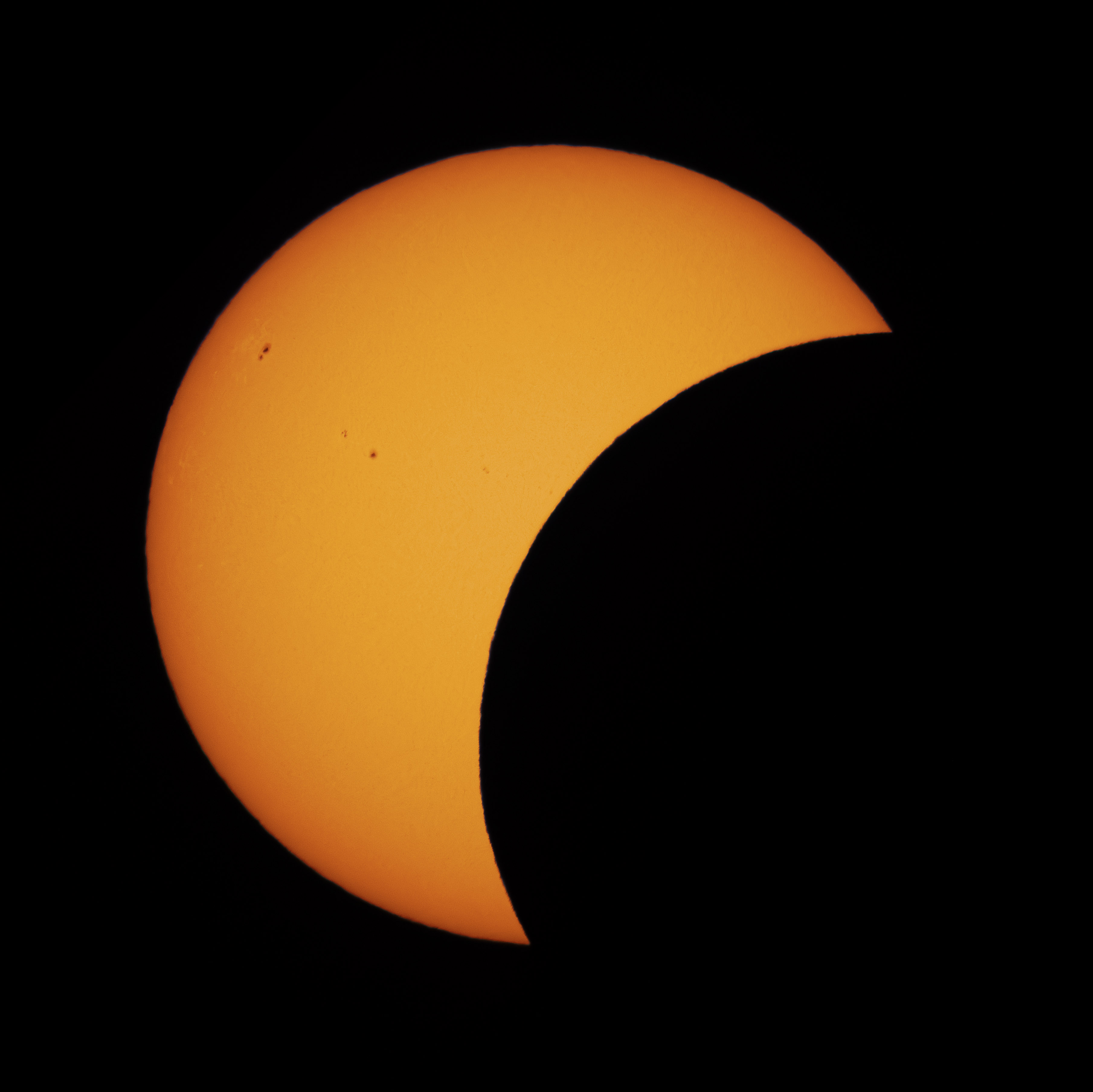 Partielle Sonnenfinsternis im Weißlicht mit Sonnenflecken und der Silhouette des Mondes vor der Sonnenscheibe
