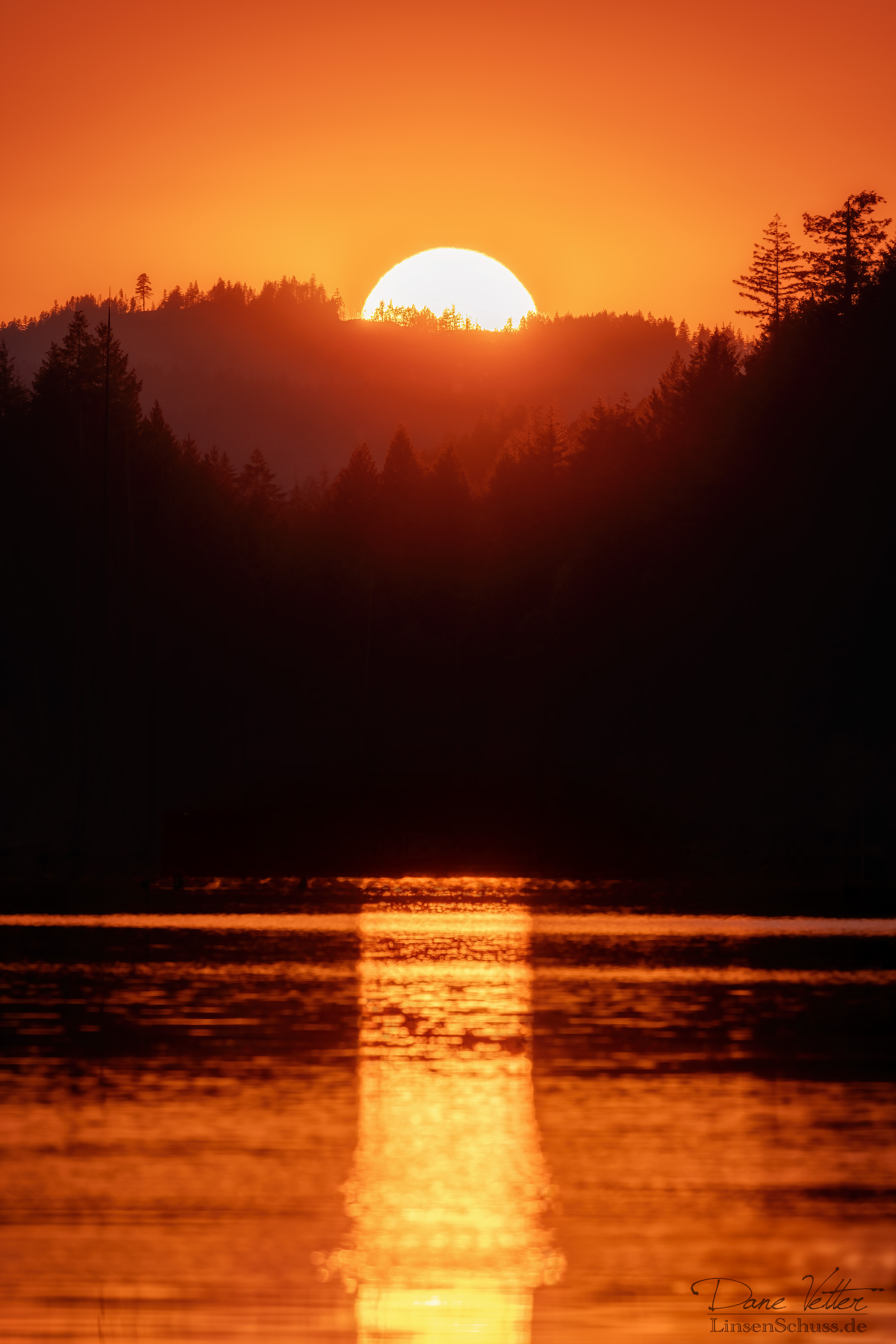 Ein Pfad der Silhouetten zur Dämmerung