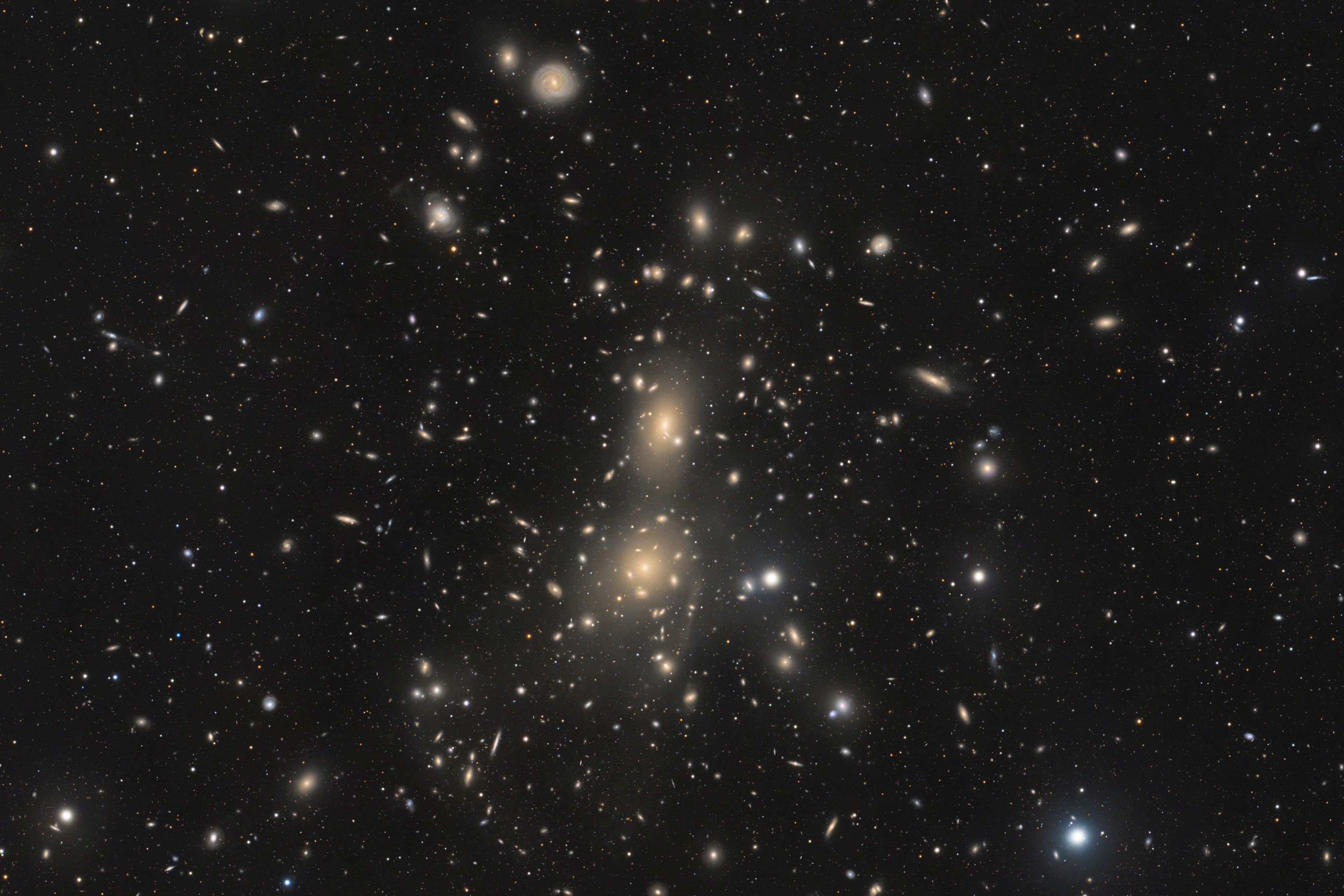 Abell 1656 – Der Coma Galaxienhaufen